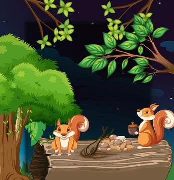 Two squirrels collecting nuts at night Illustrazione stock