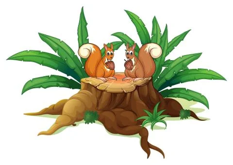 Two squirrels with nuts above the wood Illustrazione stock