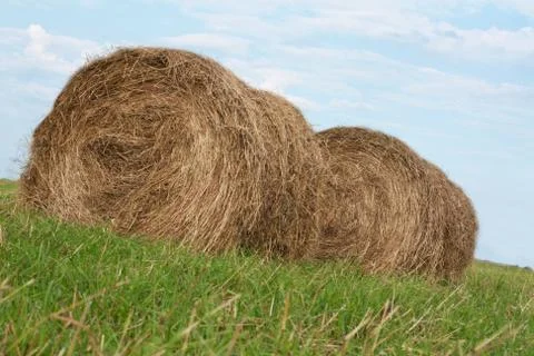 Two stack hay rolled Stock Photos