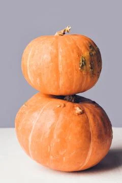 Two stacked mini pumpkins on grey background. Foto stock
