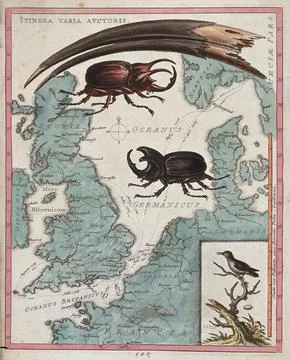 Two stag beetles crawling over a map of the world underneath a large mandib.. Ilustração Stock