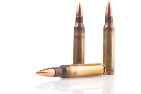 Two Standing Boletts Foto stock