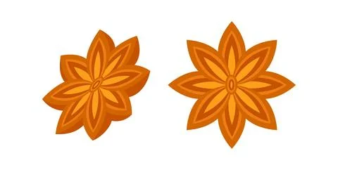Two star anise showing different perspectives on white background Stock Illustration