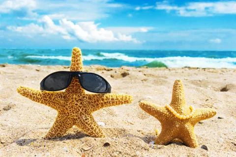Two starfish at the beach Stock Photos