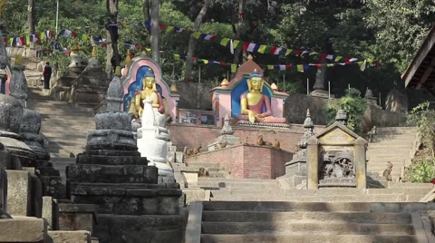 Two statues of Buddhas on the rise in the Monkey Temple Video stock 59181873