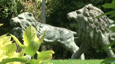 Two statues of marble lions roaring Stock Footage 61500638