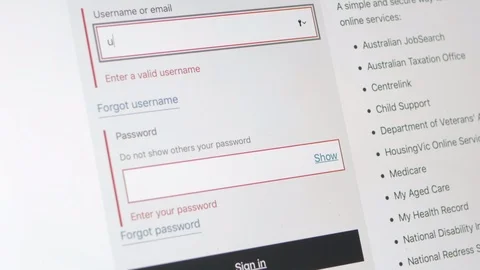 Two step password being entered into a government website. Stock Footage 96208488
