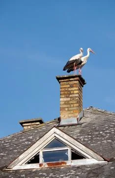 Two storks on chimney Stock Photos