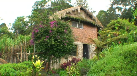 Two story hut Stock Footage 369028