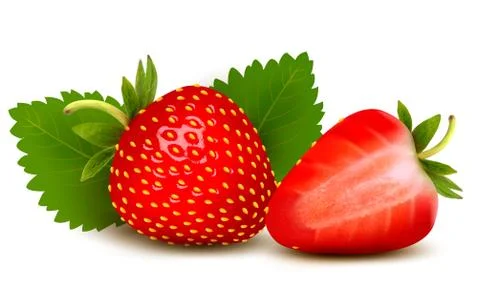 Two strawberries with leaves . vector. Illustrazione stock