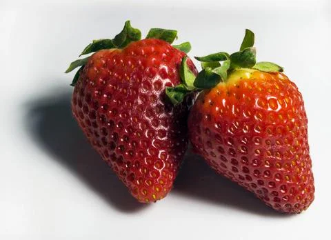 Two strawberries Stock Photos