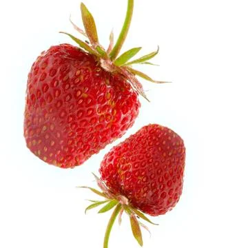 Two strawberry Stock Photos