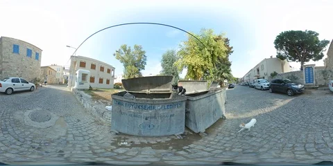 Two Stray Cats On a Garbage Container Looking for Food - 360 VR Stock Footage 96576644