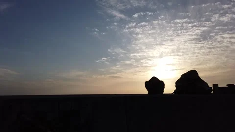 Two Stray Cats Grooming at Sunset, Summer in Okinawa, Japan Stock Footage 275901093