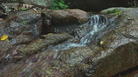 Two streams of clear water over jungle stones Stock Footage 332035567