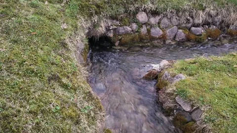 Two streams Stock Footage 154532266