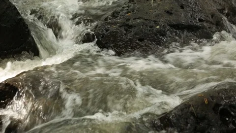 Two Streams Meeting Stock Footage 104828001