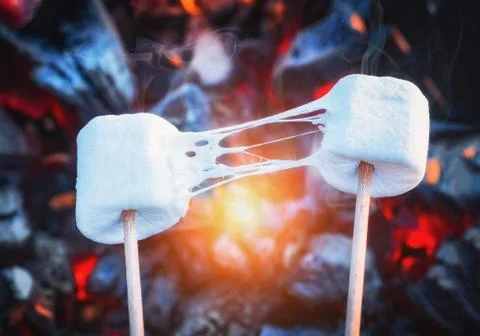Two stretchy marshmallows roasting over fire flames. Marshmallow on skewers Stock Photos