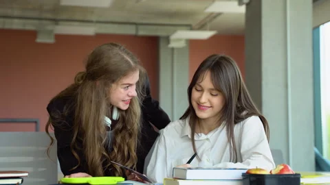 Two students doing homework together and helping each other sitting in a table Stock Footage 243323597