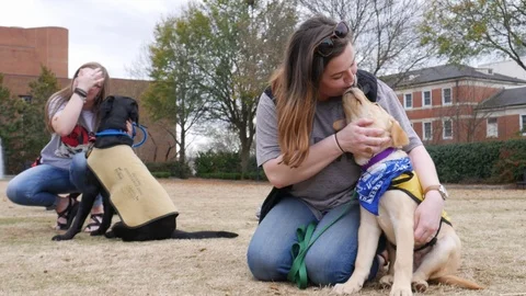 Two students sit with their happy guide dog puppies on campus, petting Vidéo 120655074