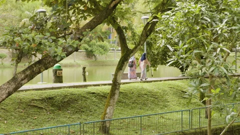 Two students walking along a lake at University of Malaya Stock Footage 231675766