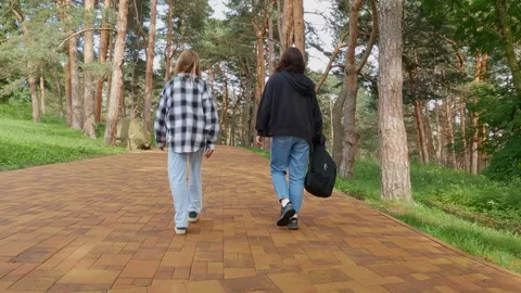 Two students walking away on a path in a park Stock Footage 295282410