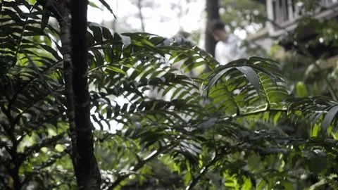 Two students walking in the forest 스톡 동영상 159063545