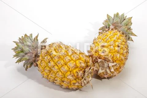 Two studio shot pineapples on white background Stock Photos