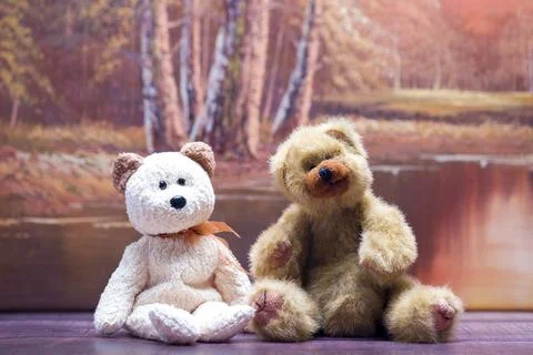 Two stuffed bears sit side by side on a wooden surface Stock Photos