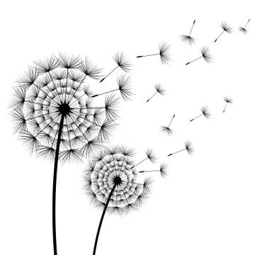 Two stylized flowers dandelions over white Ilustração Stock