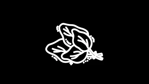 Two stylized leaves intertwined on a black background, symbolizing nature a.. Stock Footage 320023626
