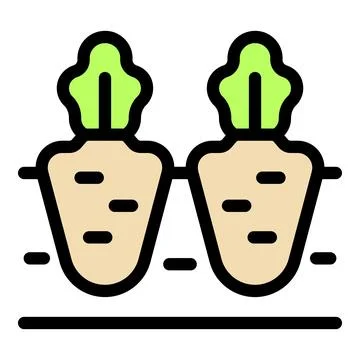Two sugar beets growing in the ground Stock Illustration