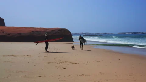 Two Surfers and Joyful Corgi Dog Walking on Beach Stock Footage 344947936