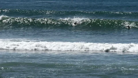 Two surfers catching waves Stock Footage 126669673