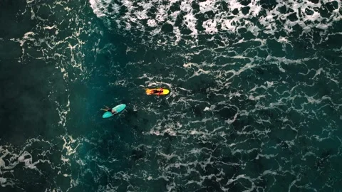 Two surfers floating on surfboard in tropical ocean Stock Footage 233013513