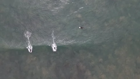 Two Surfers Leave Parallel White Trails on Malibu Wave Stock Footage 331680745
