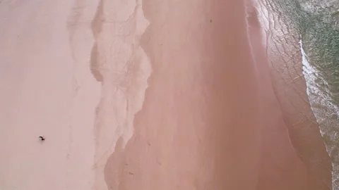 Two surfers leave a sandy beach on the Atlantic Ocean - Aerial shot Stock Footage 240183384