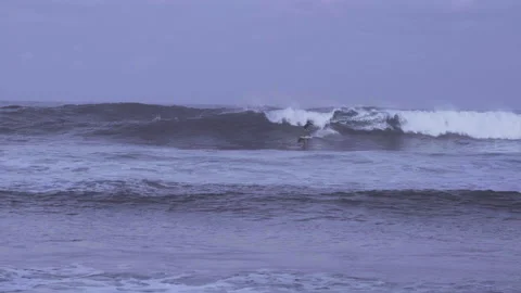 Two surfers rip separate waves breaking on North Shore Oahu Hawaii dawn patr Stock Footage 240024786