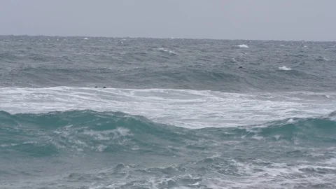 Two surfers try to catch a wave in the Pacific ocean 005 Stock Footage 124776534