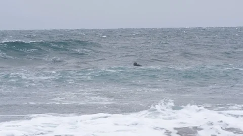 Two surfers try to catch a wave in the Pacific ocean 007 Stock Footage 124779125