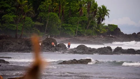 Two surfers walking among the rocks along a beach lined with coconut palms Stock Footage 345731758