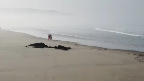 Two surfers walking on a beach in the background in slowmotion Video stock 220545556