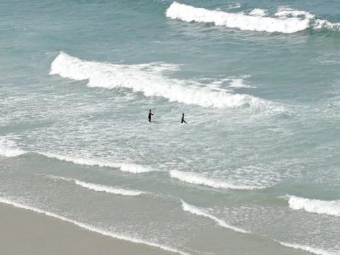 Two surfers in the water Stock Footage 70311625