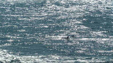 Two Surfers On Water At Sunset Stock Footage 77507669