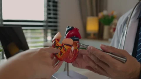 Two surgeons are sitting in their office discussing an upcoming major heart surg Stock Footage 296748032