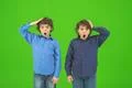 The two surprised twin kids gesture on the green background Photo