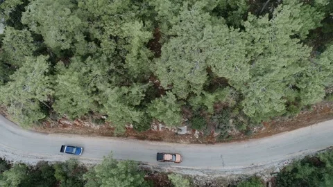 Two SUVs on the mountain forest road 4k Stock Footage 228830053