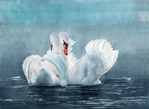 Two swans Stock Illustration