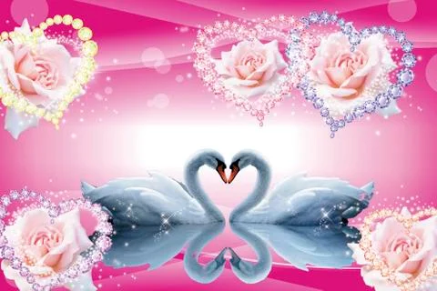 Two swans together in the shape of a heart Stock Illustration