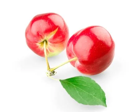 Two sweet apples with leaf Stock Photos